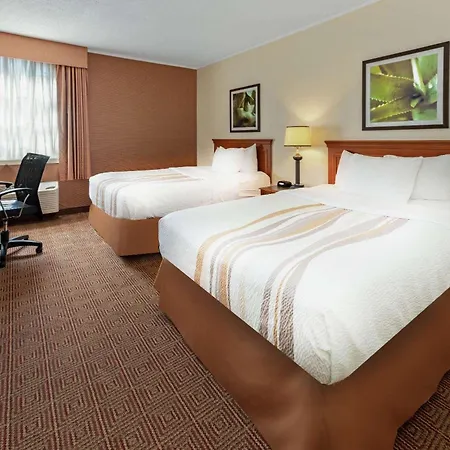 Hotel La Quinta By Wyndham Tampa Brandon West Habitación foto