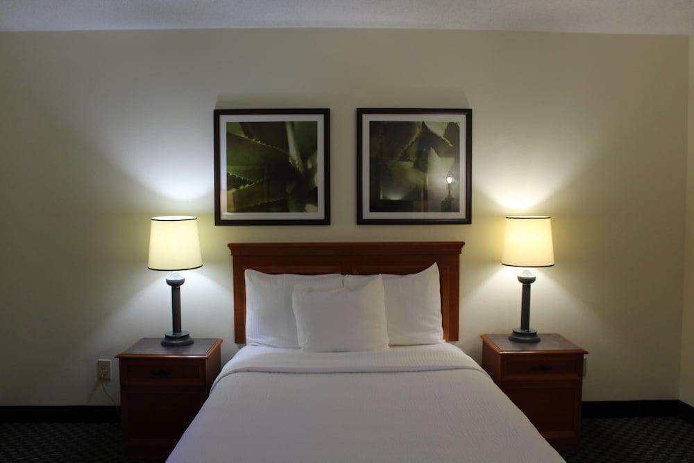 Hotel La Quinta By Wyndham Tampa Brandon West 3*